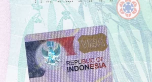 Cara Mengajukan e-Visa Indonesia untuk Turis Asing dengan Mudah