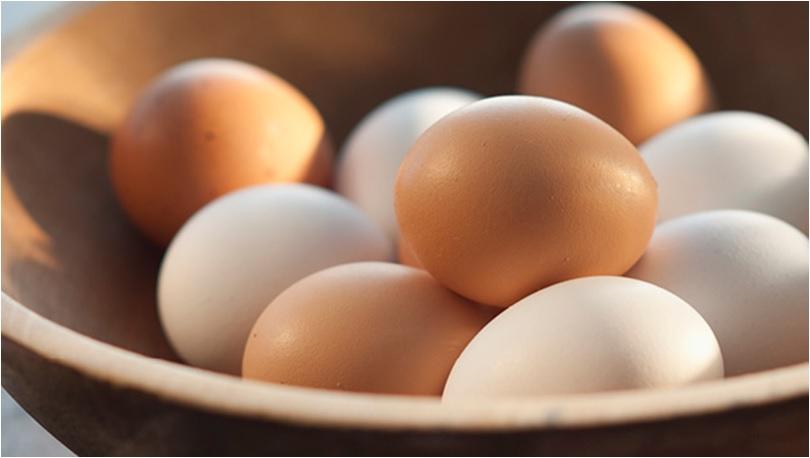 Perbedaan Telur Omega-3 dan Telur Biasa